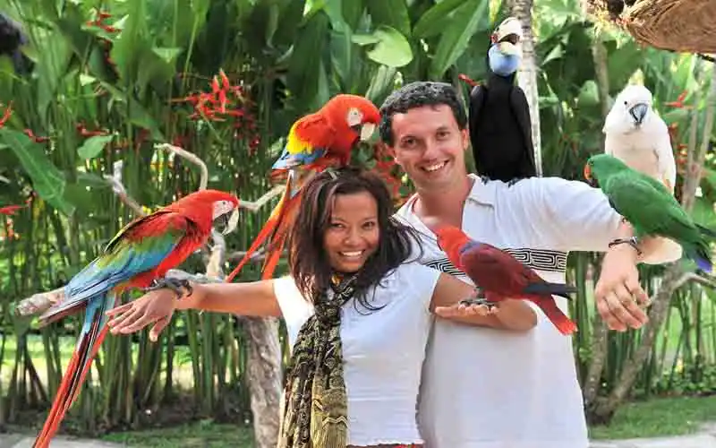 bali zoo park ubud tour bali zoo park ubud tour